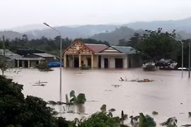 Tập trung ứng phó mưa lũ tại khu vực Trung Bộ và Tây Nguyên