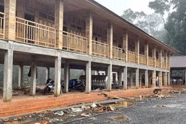 Không thể biện giải việc xây dựng trạm bảo vệ rừng bằng toàn gỗ ở Đắk Nông