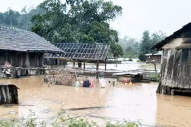 Khẩn trương khắc phục thiệt hại do mưa lũ