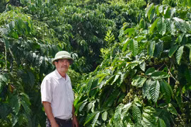 Lâm Đồng: Trang trại 40ha trồng những cây gì, nuôi những con gì mà ông nông dân cầm chắc lãi 10 tỷ năm 2021?