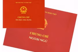 Chính thức bỏ yêu cầu bắt buộc về chứng chỉ ngoại ngữ, tin học