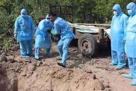 Gia Lai nỗ lực khống chế dịch tả heo châu Phi