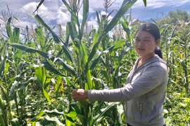 Chi hội trưởng năng nổ, nhiệt tình