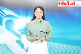 Gia Lai 48h: Ban hành Bộ chỉ số đánh giá năng lực cạnh tranh cấp sở, ban, ngành và địa phương