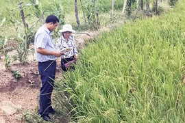 Một chỉ thị, trăm biến chuyển từ làng - Kỳ 3: Vươn lên từ nội lực