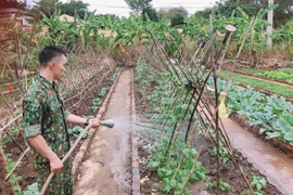 Các chốt tuần tra biên giới tích cực tăng gia sản xuất