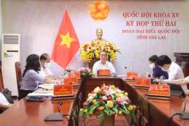 Đoàn đại biểu Quốc hội tỉnh Gia Lai góp ý kế hoạch cơ cấu lại nền kinh tế và quy hoạch sử dụng đất