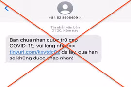 Gia Lai: Cảnh giác tin nhắn lừa đảo về việc nhận trợ cấp Covid-19