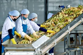 Gia Lai khẩn trương rà soát số lượng, nhu cầu việc làm của lao động về tỉnh do ảnh hưởng dịch Covid-19
