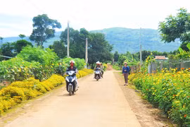 Một chỉ thị, trăm biến chuyển từ làng - Kỳ 4: Đổi thay nhỏ, ý nghĩa lớn