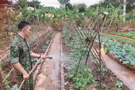 Các chốt tuần tra biên giới tích cực tăng gia sản xuất