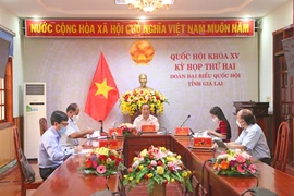 Đại biểu Quốc hội tỉnh Gia Lai góp ý Dự thảo Luật Điện ảnh và Luật Thi đua, khen thưởng