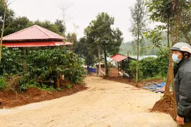 Xây dựng trái phép công trình trên đất nông nghiệp