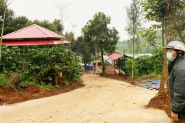 Xây dựng trái phép công trình trên đất nông nghiệp