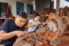 Phục sinh phế phẩm từ rừng