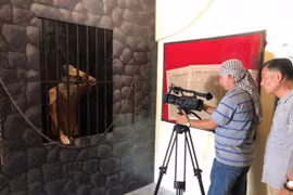 Giải Báo chí Quốc gia: Có giải Đặc biệt đầu tiên sau 15 năm tổ chức