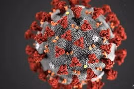 Liệu các biến thể mới của virus Corona có thể tiếp tục xuất hiện?