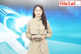 Gia Lai 48h: Rà soát, quy hoạch để phát triển rừng bền vững