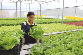 Nguồn nhân lực phải thích ứng kỷ nguyên số