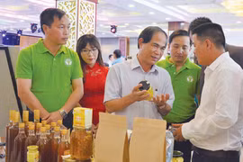 Phát triển doanh nghiệp ở Gia Lai: Để số lượng đi đôi với chất lượng