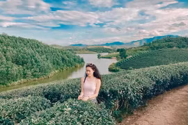 Đồi chè Gia Lai-một trong 7 đồi chè dành cho dân thích xê dịch