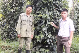 Bứt phá trong công tác giảm nghèo ở Gia Lai