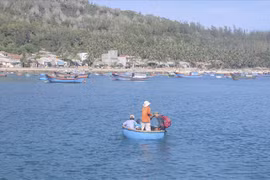 Cù Lao Xanh "Hòn ngọc Biển Đông" của xứ Nẫu