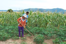 Ia Pa: Đột phá trong công tác xóa đói giảm nghèo