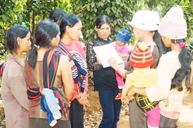 Tảo hôn trong vùng đồng bào Bahnar, Jrai: Đâu là nguyên nhân?