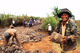 Cựu chiến binh Krông Pa sôi nổi phong trào hiến đất làm đường
