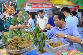 Thu 4 tỷ đồng từ phiên chợ sâm Ngọc Linh đầu năm