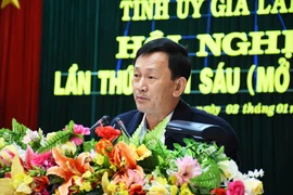 Gia Lai:Tạo khí thế mới, xung lực mới để hoàn thành nhiệm vụ năm 2019