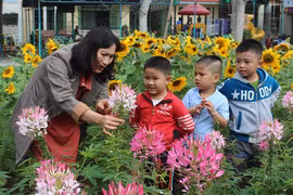 An Khê: Tạo môi trường giáo dục trải nghiệm cho trẻ