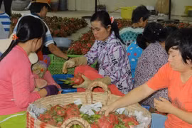 Trung Quốc tăng cường kiểm soát nông sản qua biên giới