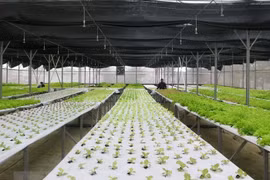 Tỉnh Gia Lai định hướng phát triển theo nền kinh tế xanh