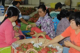 Trung Quốc tăng cường kiểm soát nông sản qua biên giới