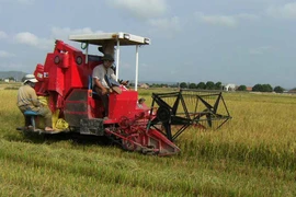 "Tam nông" khởi sắc