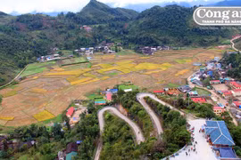 Người về Lũng Cú