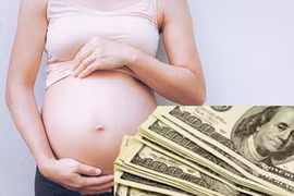 Vụ mang thai hộ xuyên Quốc gia: Tiền tỷ vào túi ai?