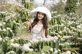 Cao nguyên mùa gió thẳm