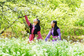 Gợi ý các điểm du xuân ngày Tết 'chiều' theo túi tiền