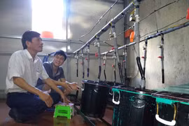 Sôi động phong trào khởi nghiệp nông nghiệp