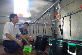 Sôi động phong trào khởi nghiệp nông nghiệp