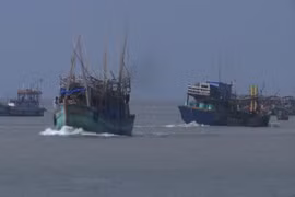 21 ngư dân Việt Nam bị Thái Lan bắt giữ khi chạy bão