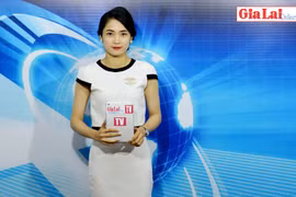 Gia Lai 48h: TP.Pleiku tổ chức chợ hoa Xuân Kỷ Hợi