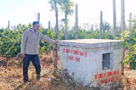 Ia Grai: Tăng cường thu gom, xử lý bao bì thuốc bảo vệ thực vật