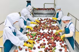 Cơ hội bứt phá từ những dự án đầu tư