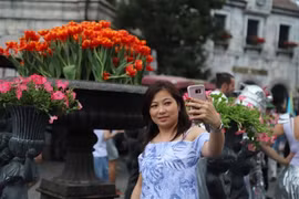 Chiêm ngưỡng những sắc màu tulip độc lạ chỉ có tại Bà Nà Tết này