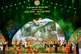 Đắk Nông: Cắt giảm chi phí cho doanh nghiệp, cải thiện môi trường đầu tư