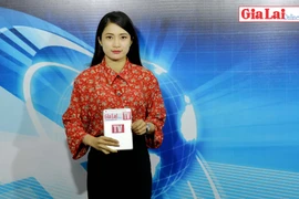 Gia Lai 48h: Phát triển doanh nghiệp: Để số lượng đi đôi với chất lượng